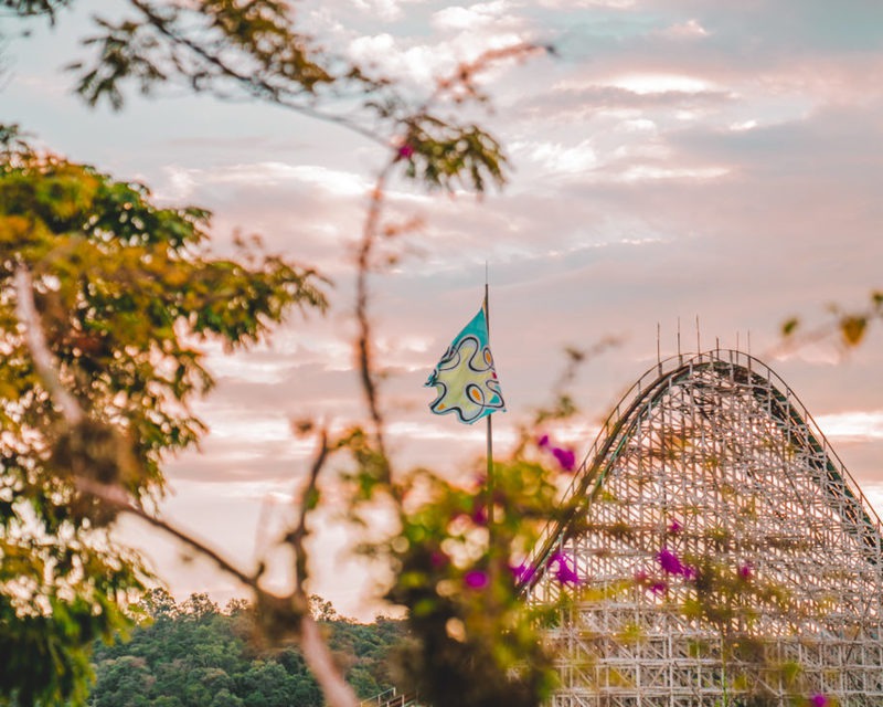 Festival Rock'n Hari: a união entre o rock e a diversão