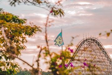 Festival Rock'n Hari: a união entre o rock e a diversão