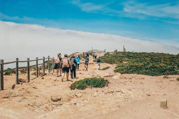 Dunas da joaquina: conheça toda sua beleza em Florianópolis