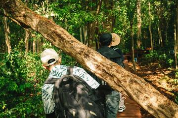 13 Destinos nacionais para quem ama natureza