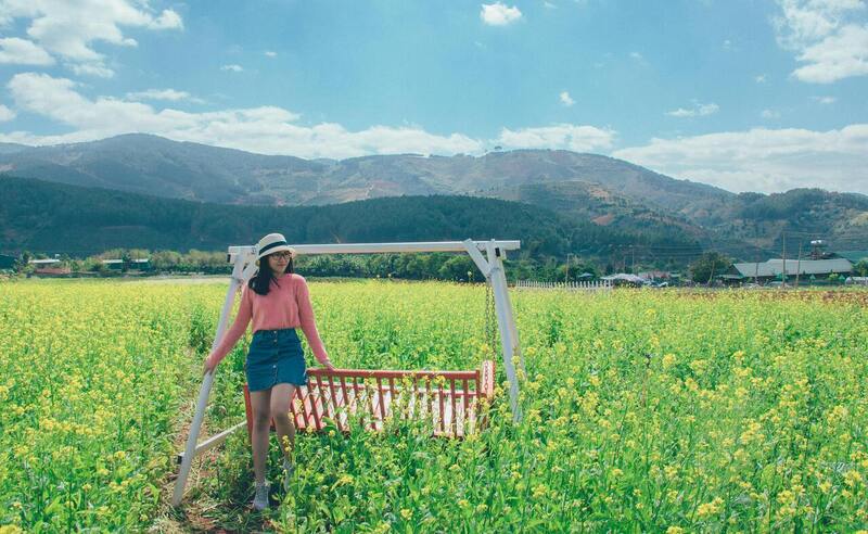 Melhores destinos ao redor do mundo para quem ama a primavera