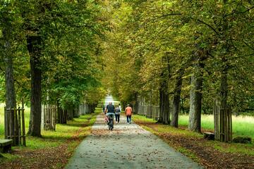Melhores parques brasileiros para aproveitar com a família