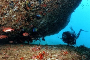 Conheça os corais e areias de Guarapari, no Espírito Santo