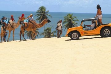 Rio Grande do Norte: confira os melhores destinos