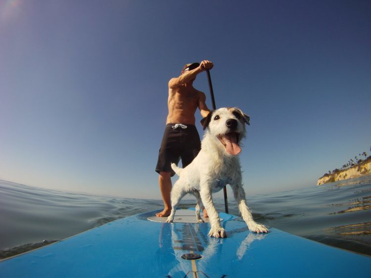 Melhores praias para a prática de Stand up Paddle no país
