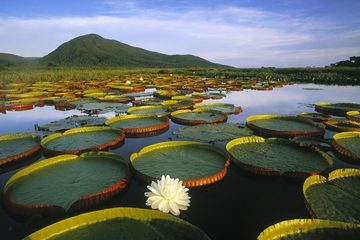Está esfriando? Vá para o Centro-Oeste!