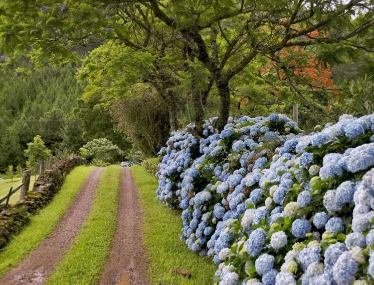 Caminhe pelas belezas e atrações de Gramado!
