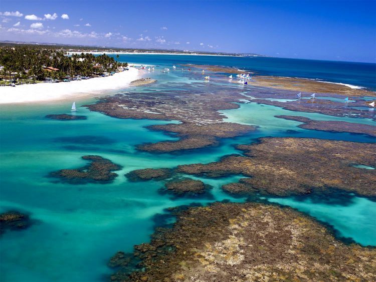 As belezas do nordeste: Piauí, Pernambuco e Paraíba