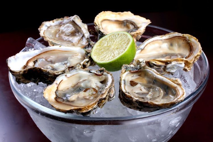 16ª Fenaostra em Florianópolis SC: delícias de frutos do mar