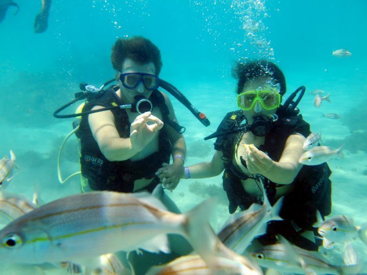 Pirangi: A Praia mais famosa do Rio Grande do Norte