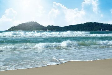 Conheça as maravilhas da Praia do Campeche, Santa Catarina