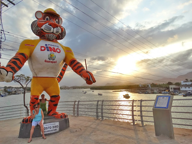 A história do Tigre mais querido de Guarapari ES