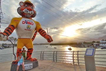 A história do Tigre mais querido de Guarapari ES