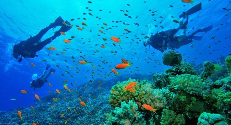 O que fazer e locais para visitar em Cabo Frio, RJ