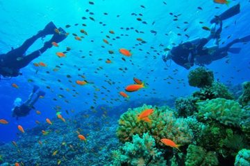 O que fazer e locais para visitar em Cabo Frio, RJ