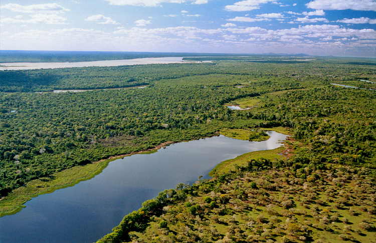 Ilha do Bananal: veja a maior ilha de rio do mundo