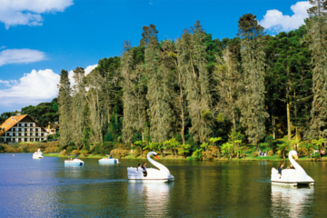 Saiba como economizar em sua viagem para Gramado, RS