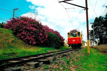 O que fazer em Campos do Jordão? Atrações e passeios