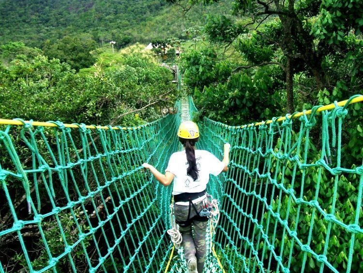 Conheça a prática de arvorismo em Florianópolis, SC