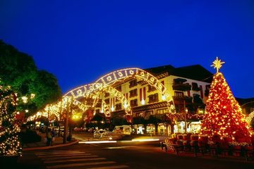 Natal Luz de Gramado, RS: viva essa experiência