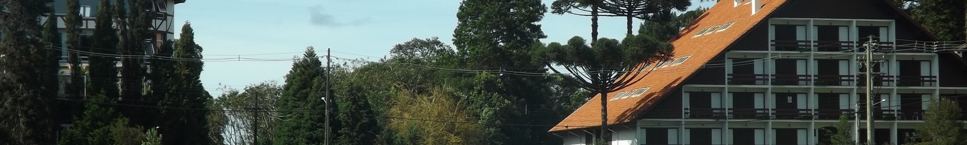 Vacation rental in Floresta