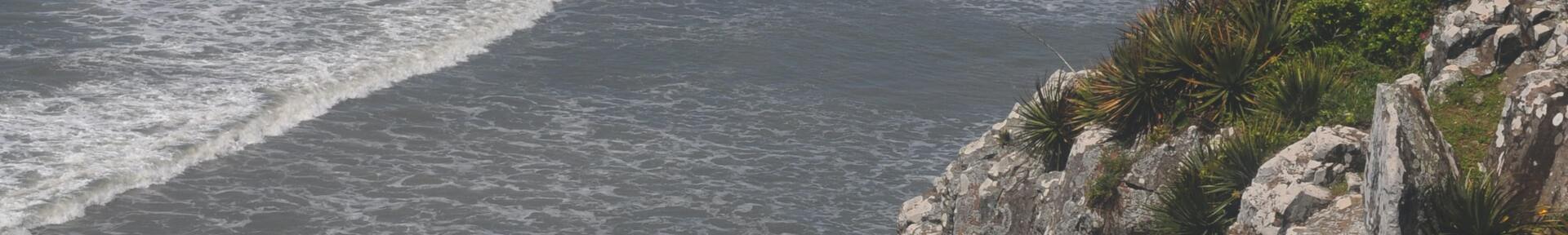 Alquiler de vacaciones en Itapeva Norte