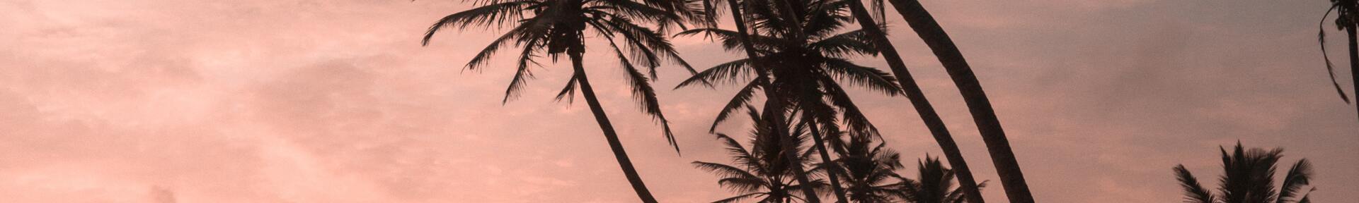 Aluguel de temporada em Gravatá