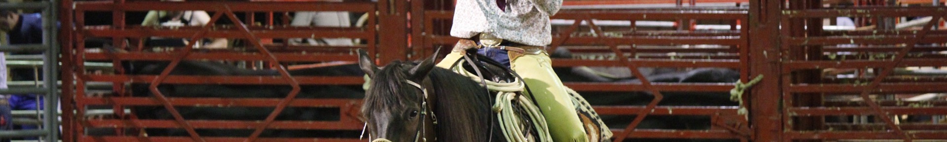 Alquiler de vacaciones en Centro