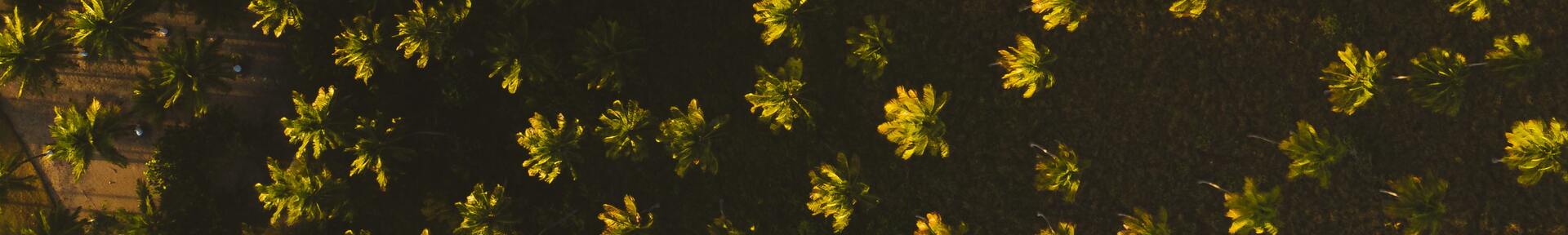 Vacation rental in Praia de Marceneiro