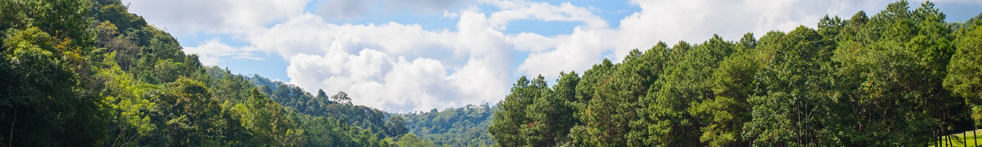Alquiler de vacaciones en Nazaré Paulista