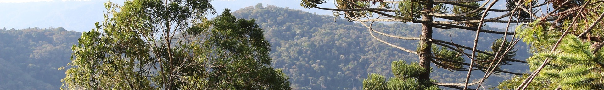 Vacation rental in Santo Antônio do Pinhal