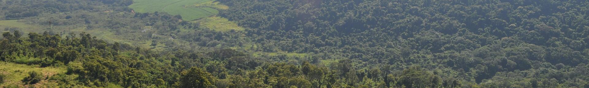 Alquiler de vacaciones en Brotas