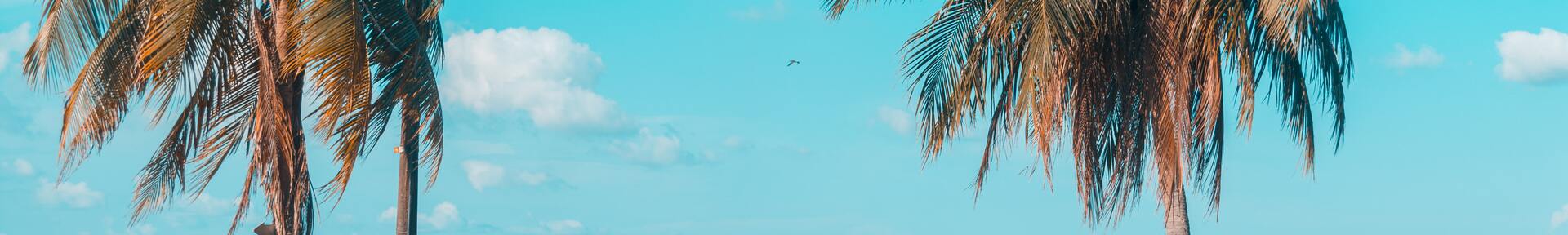 Vacation rental in Santarém