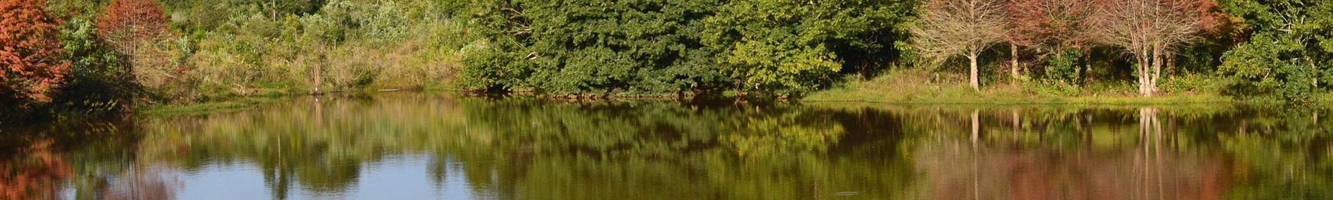 Aluguel de temporada em Botucatu