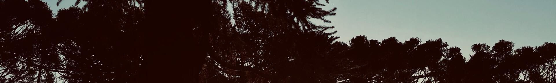 Vacation rental in Salesópolis