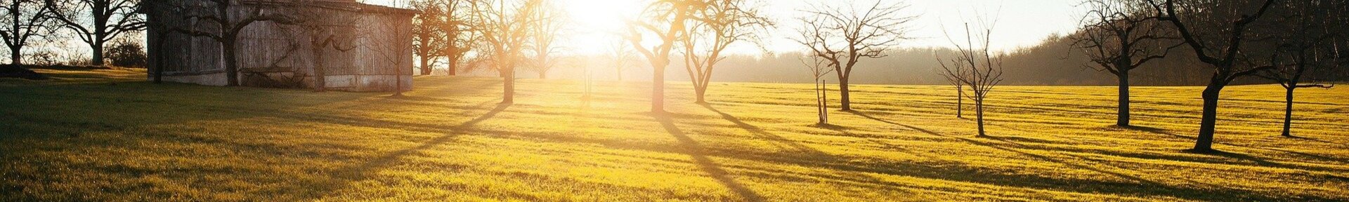 Vacation rental in Sertaozinho