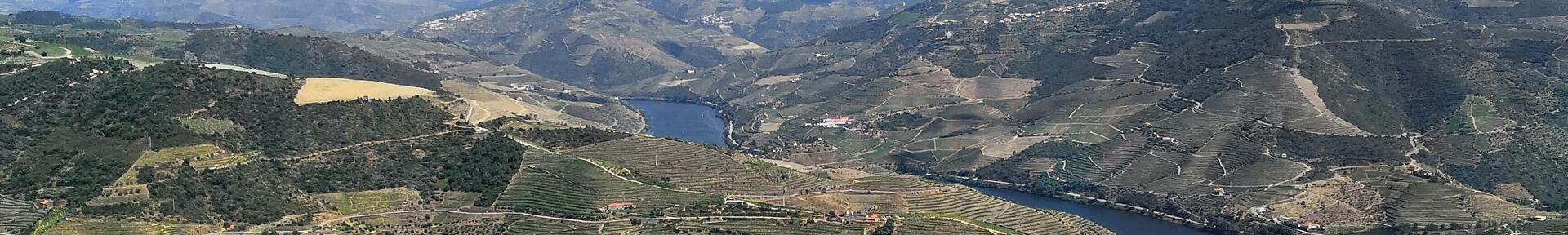 Vacation rental in Alcantilado