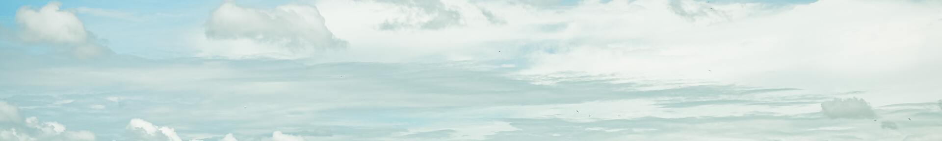 Alquiler de vacaciones en Campos dos Goytacazes