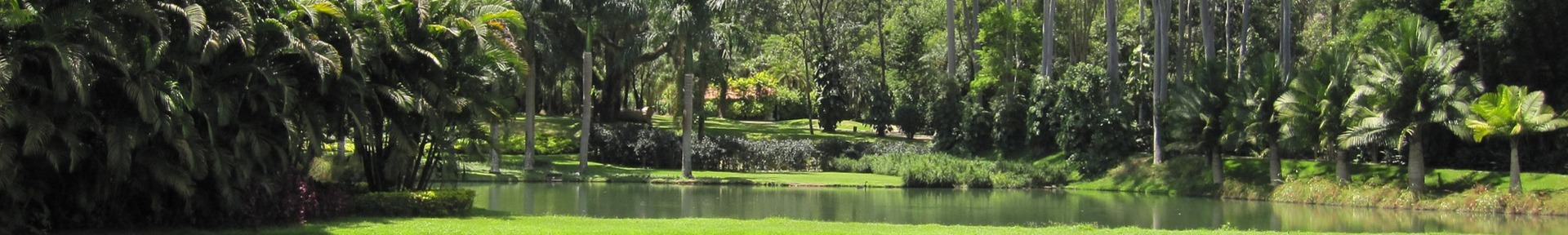 Aluguel de temporada em Brumadinho