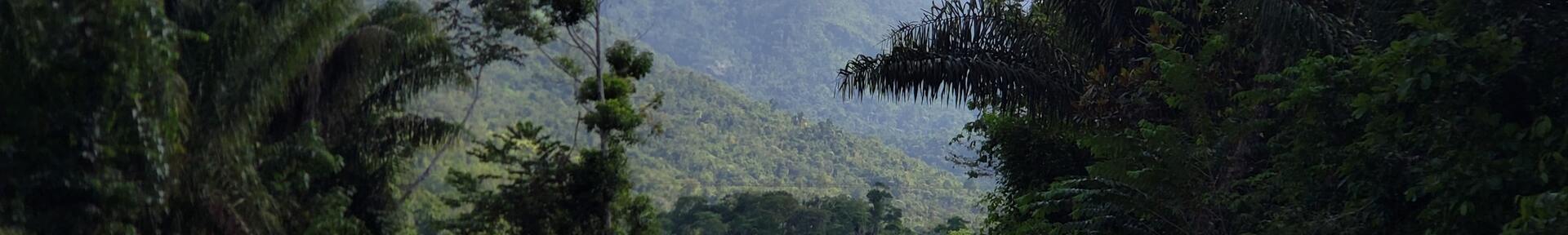 Aluguel de temporada em Caetezal de Cima