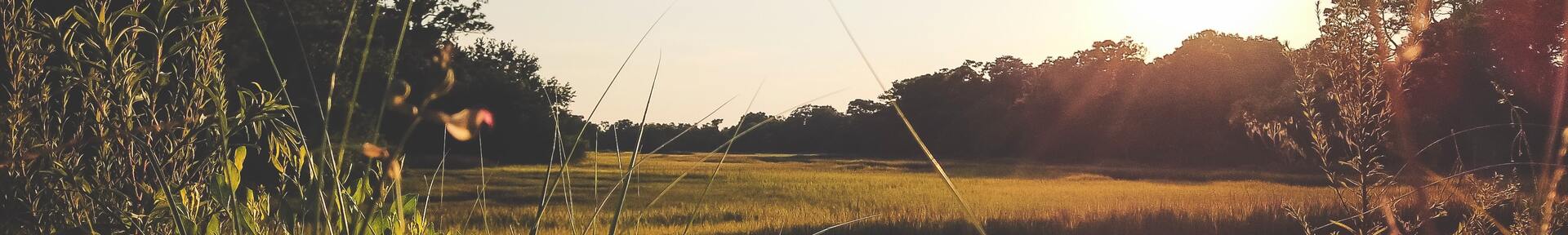 Aluguel de temporada em Santo Amaro da Imperatriz