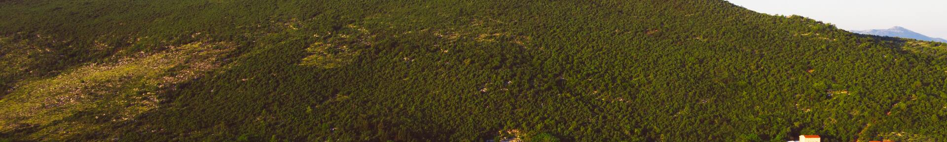 Alquiler de vacaciones en Floresta