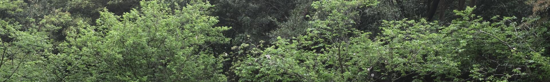 Alquiler de vacaciones en Quadra