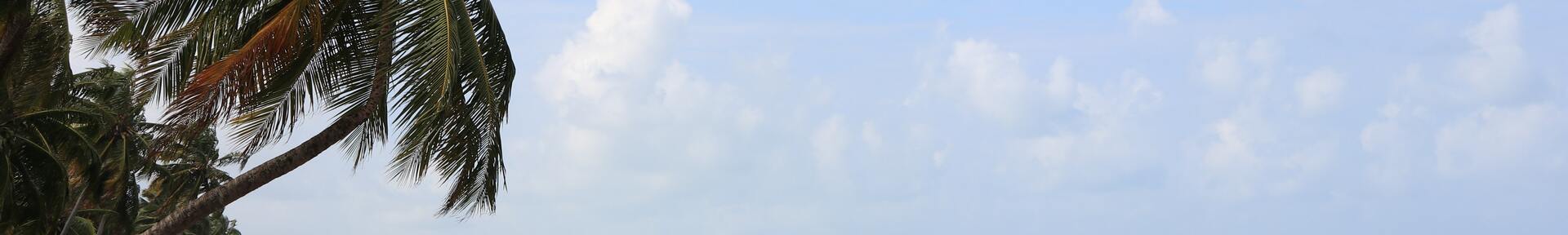 Aluguel de temporada em Goiana