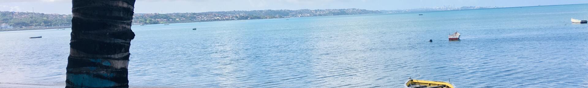 Alquiler de vacaciones en Palmeiras