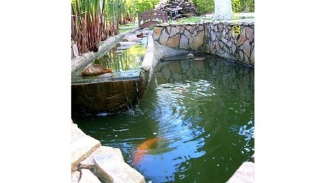 Apartamento de 1 dormitorio con AR. Edificio con PISCINA !!!