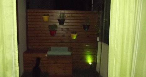 Área externa fundos com tanque e horta