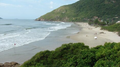 Asa frente Florianópolis playas