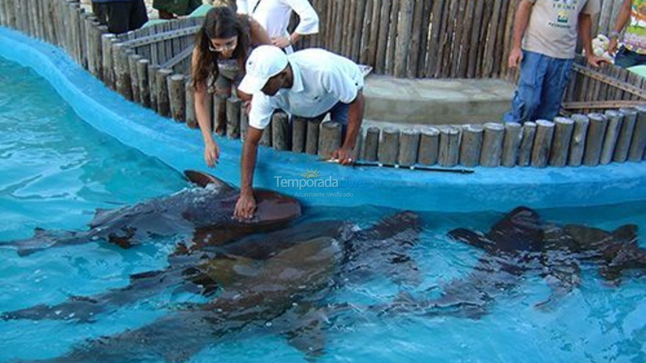 House for vacation rental in Aracaju (Coroa do Meio)