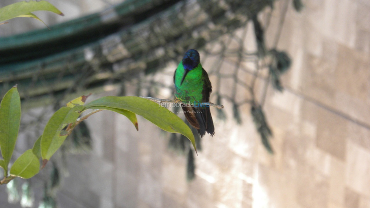 Casa para aluguel de temporada em Florianópolis (Lagoinha)